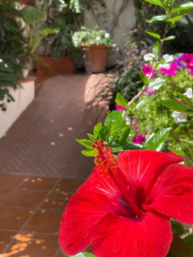 Piccolo Bed Bed & Breakfast Procida Exterior photo